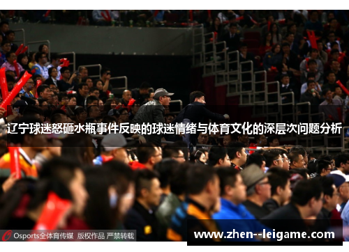 辽宁球迷怒砸水瓶事件反映的球迷情绪与体育文化的深层次问题分析